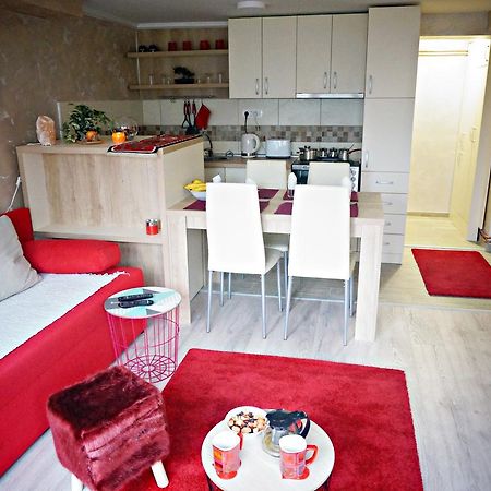 Apartment Kamencic ズラティボール エクステリア 写真
