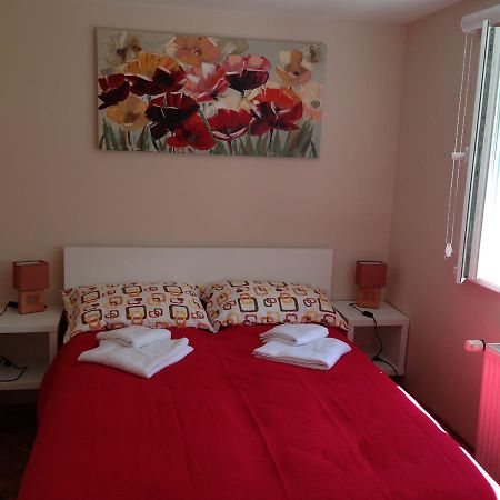 Apartment Kamencic ズラティボール エクステリア 写真