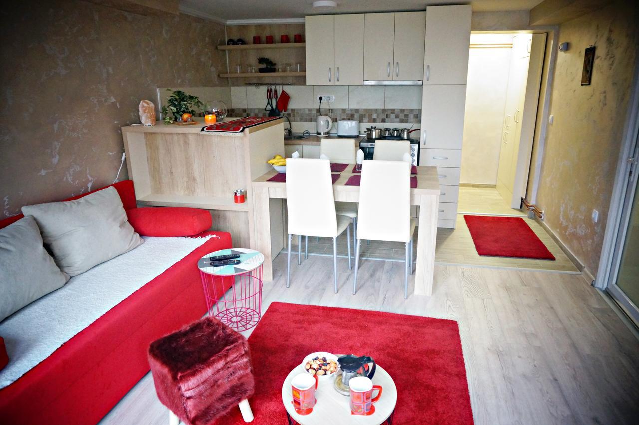 Apartment Kamencic ズラティボール エクステリア 写真