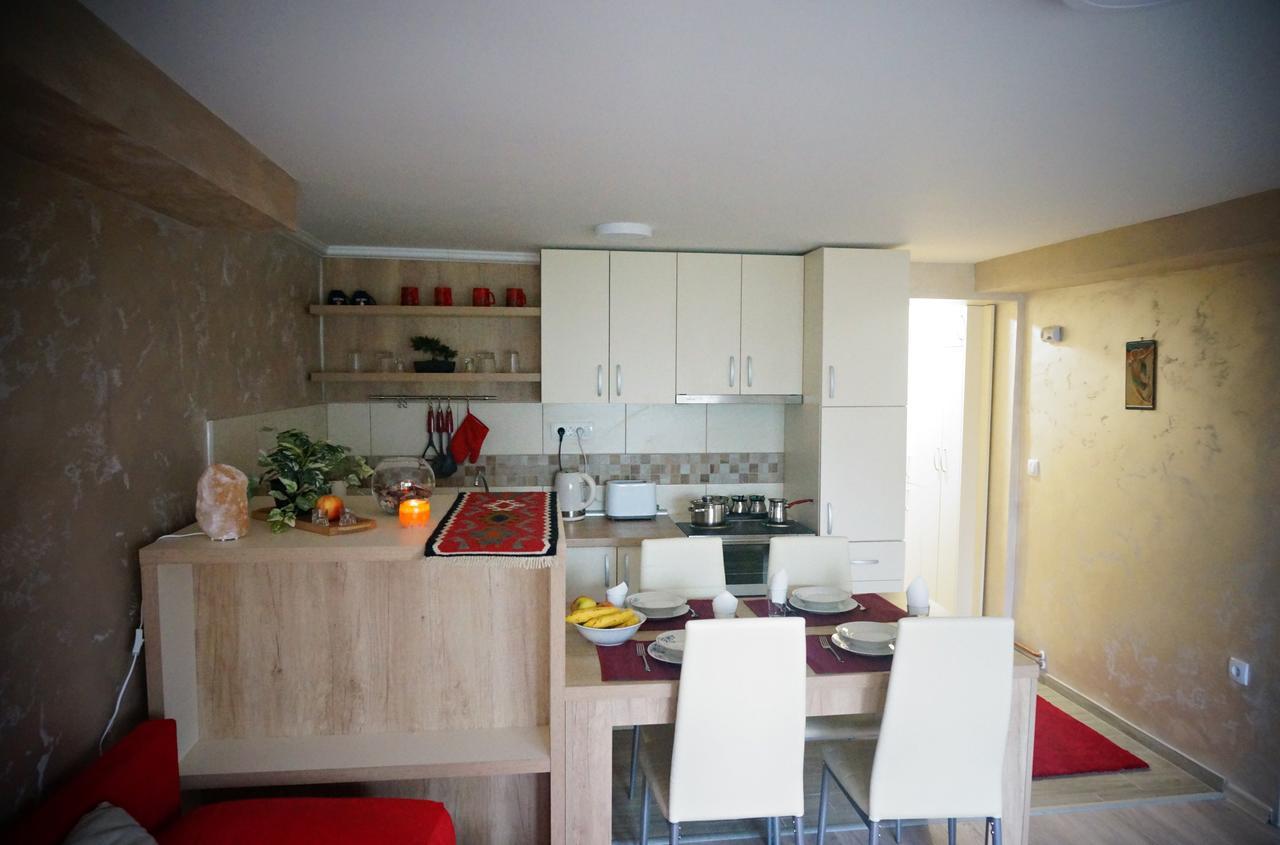 Apartment Kamencic ズラティボール エクステリア 写真