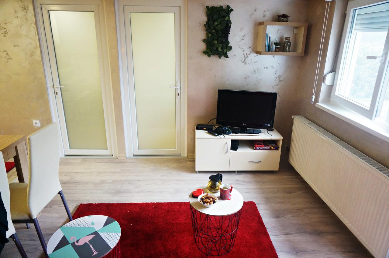 Apartment Kamencic ズラティボール エクステリア 写真