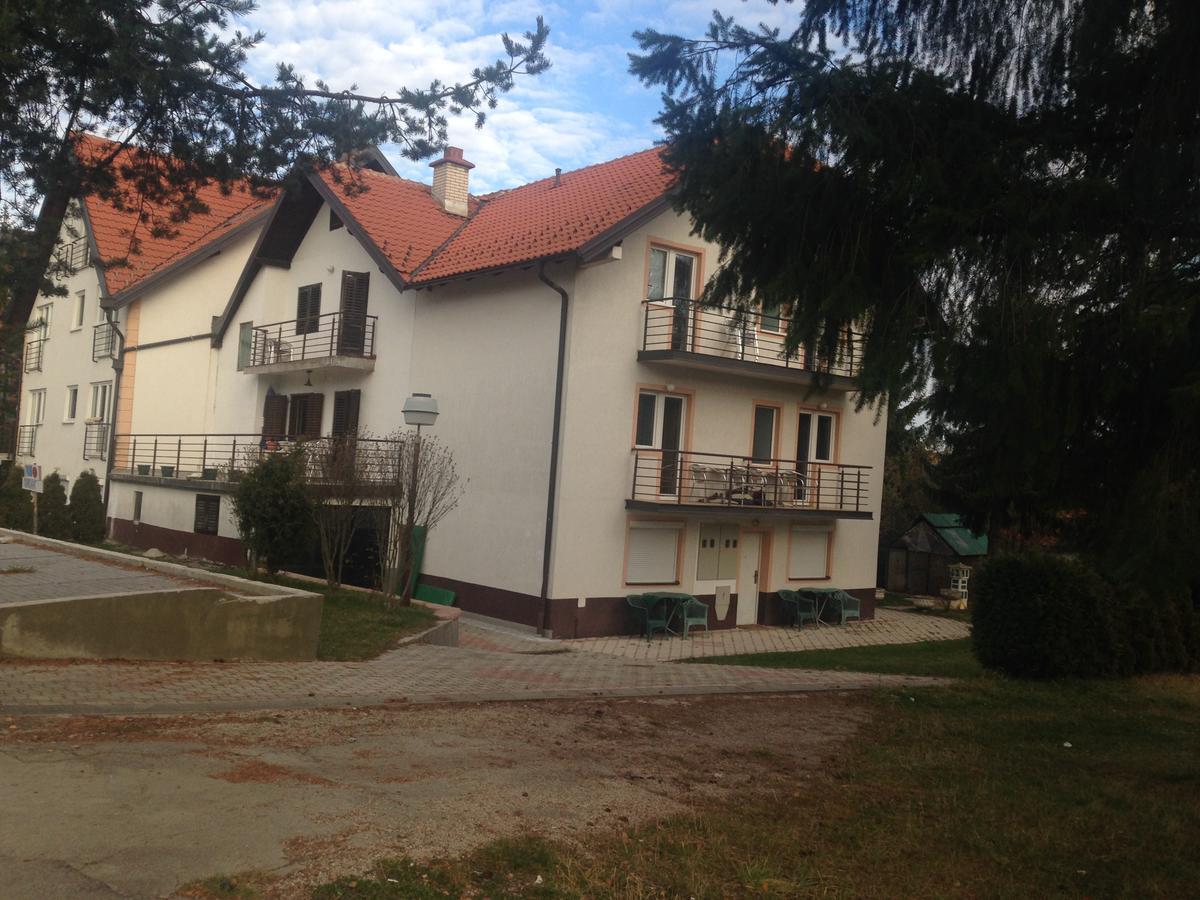Apartment Kamencic ズラティボール エクステリア 写真