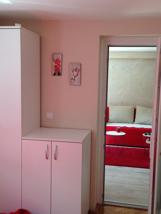 Apartment Kamencic ズラティボール エクステリア 写真