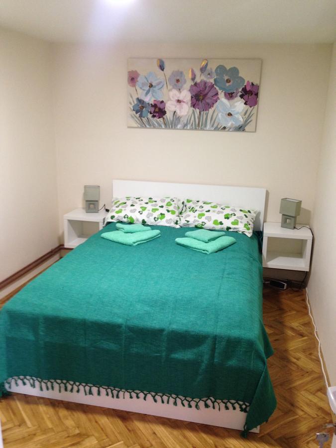 Apartment Kamencic ズラティボール エクステリア 写真